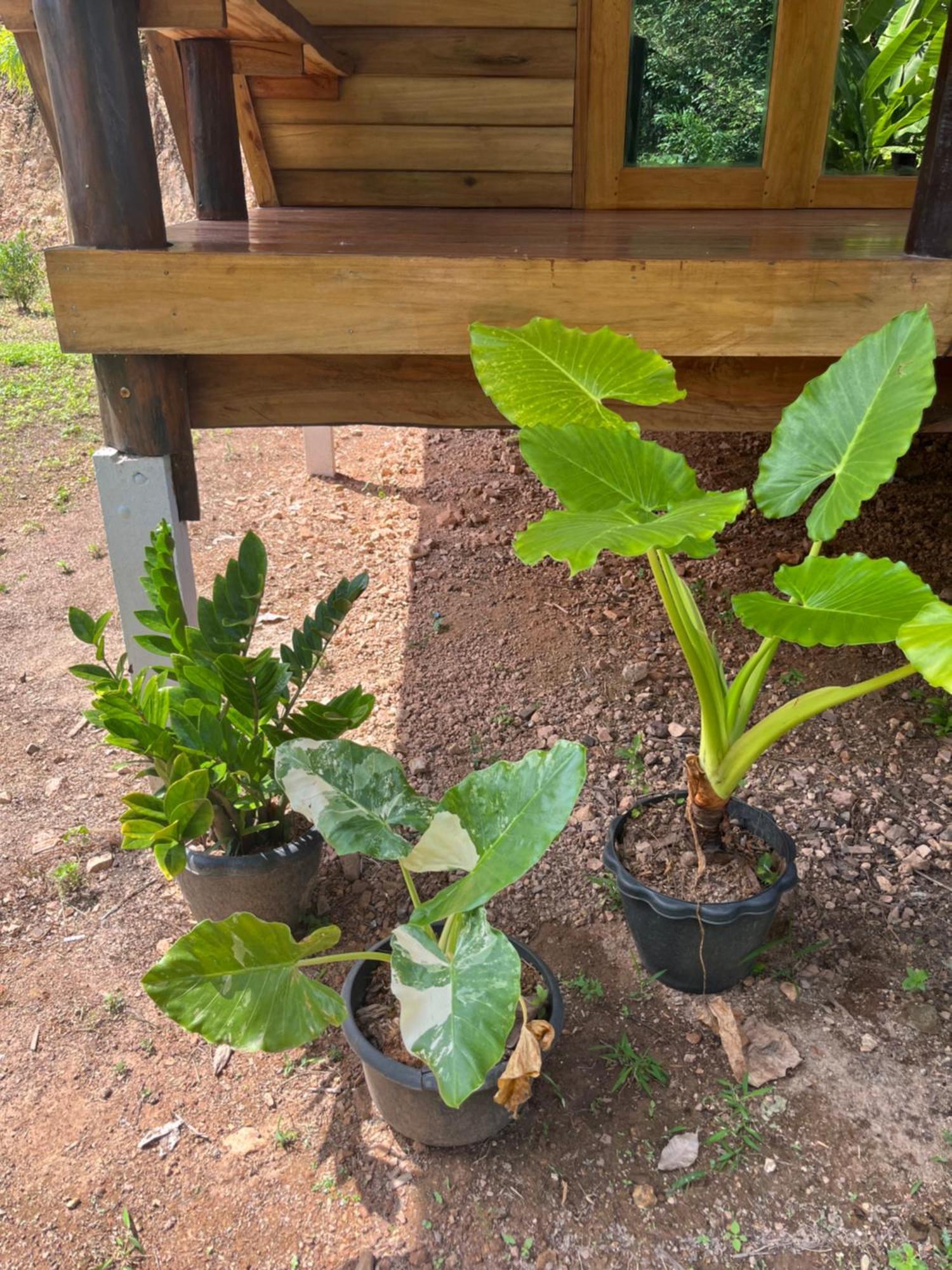 Koh Jum Home Stay מראה חיצוני תמונה